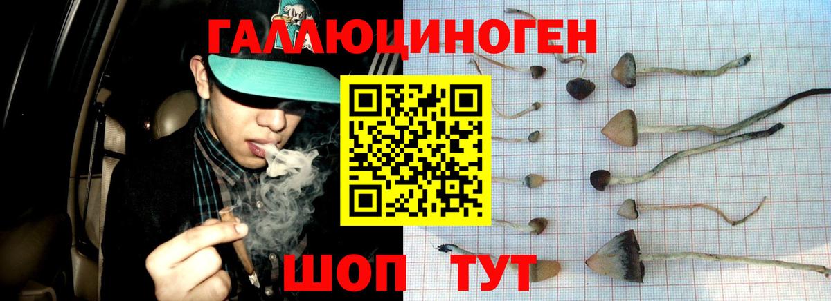 Галлюциногенные грибы MAGIC MUSHROOMS Волоколамск